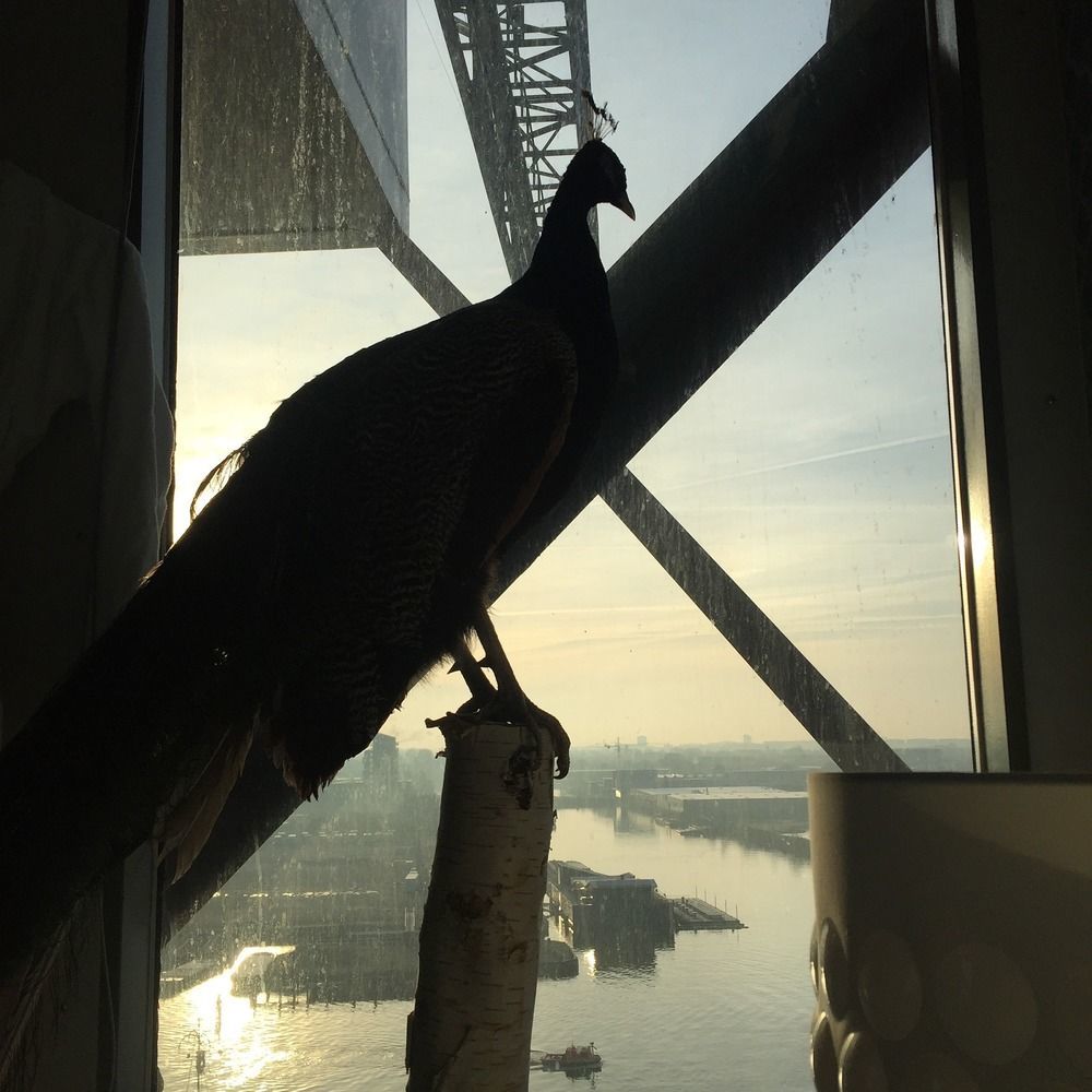 Crane Hotel Faralda Amszterdam Kültér fotó